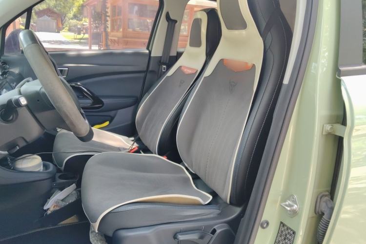 Used Leapmotor T03 2022 Star Diamond Edition Left Front Seat