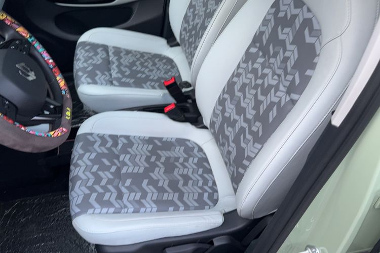 Used Leapmotor T03 2022 YAOJIN Edition Left Front Seat