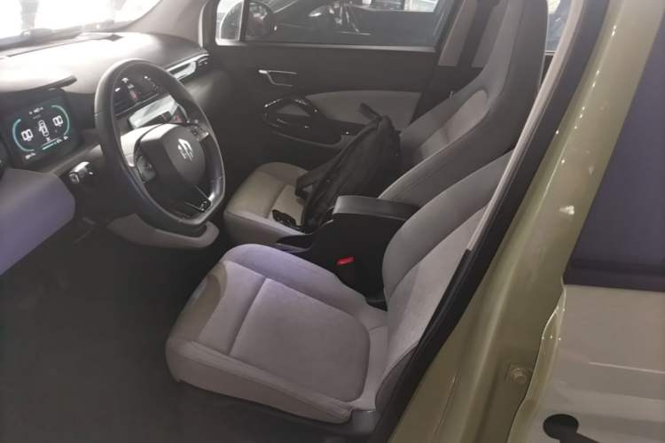 Used Leapmotor T03 2022 Crystal Edition Left Front Seat