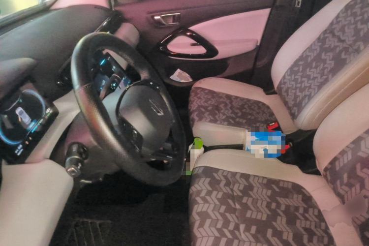 Used Leapmotor T03 2022 YAOJIN Edition Left Front Seat