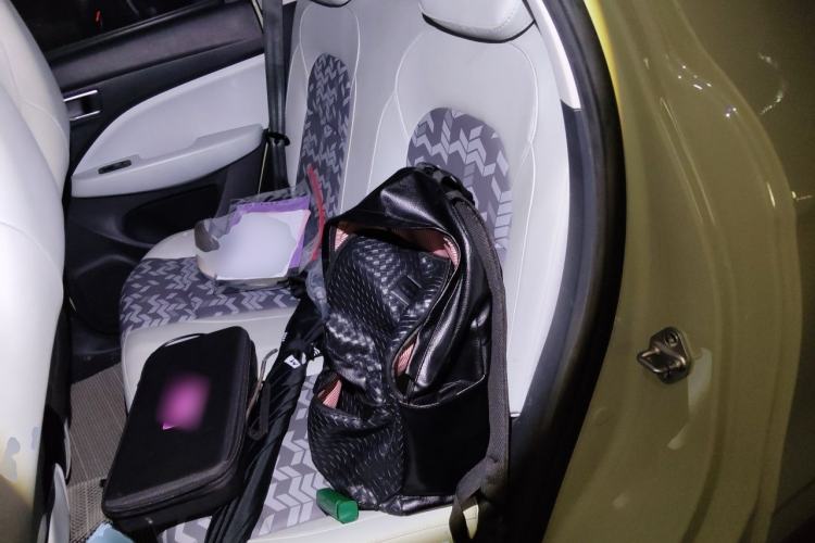 Used Leapmotor T03 2022 YAOJIN Edition Left Rear Seat