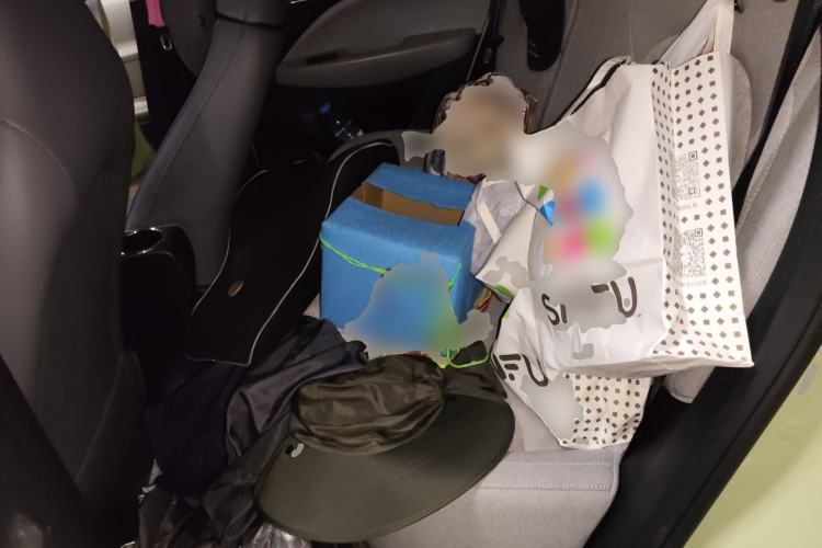 Used Leapmotor T03 2022 Crystal Edition Left Rear Seat