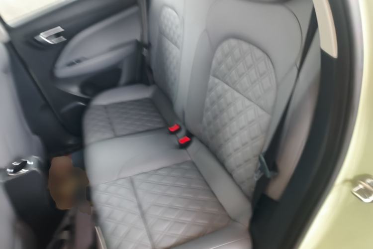 Used Leapmotor T03 2022 Star Diamond Edition Left Rear Seat