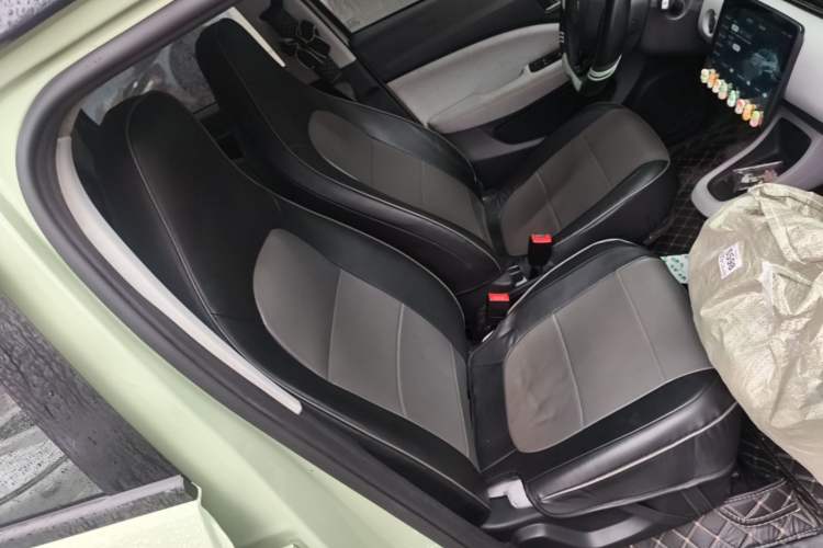 Used Leapmotor T03 2022 Crystal Edition Right Front Seat