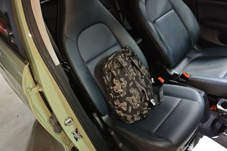 Used Leapmotor T03 2022 YAOJIN Edition Right Front Seat