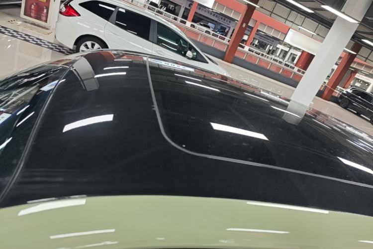 Used Leapmotor T03 2022 YAOJIN Edition Roof
