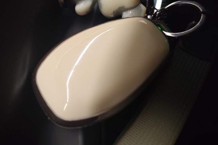 Used Leapmotor T03 2022 YAOJIN Edition Vehicle Key