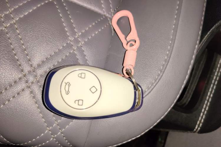 Used Leapmotor T03 2022 Crystal Edition Vehicle Key
