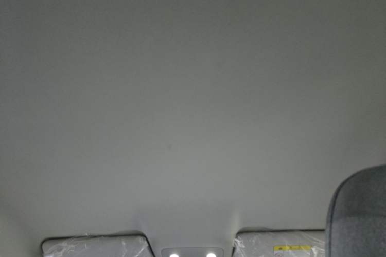 Used Leapmotor T03 2022 Amber Edition Headliner
