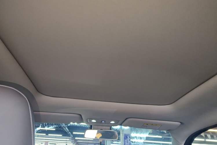 Used Leapmotor T03 2022 Star Diamond Edition Headliner