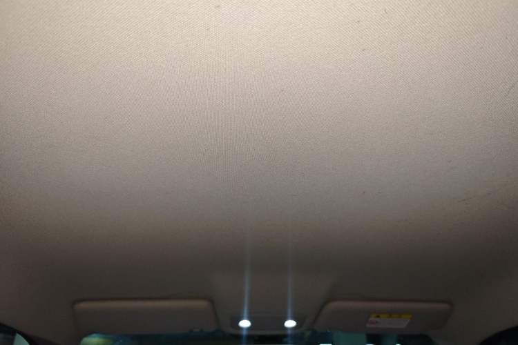 Used Leapmotor T03 2022 Pearl Edition Headliner