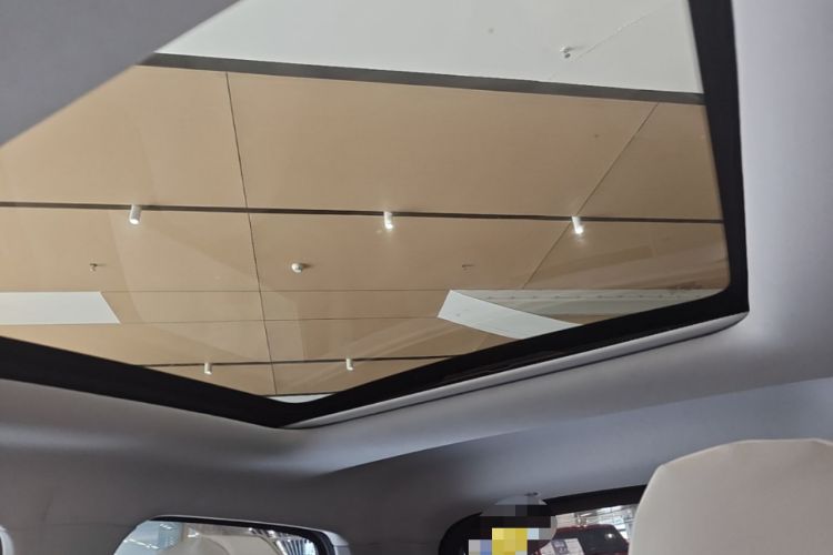 Used Leapmotor T03 2022 Star Diamond Edition Headliner