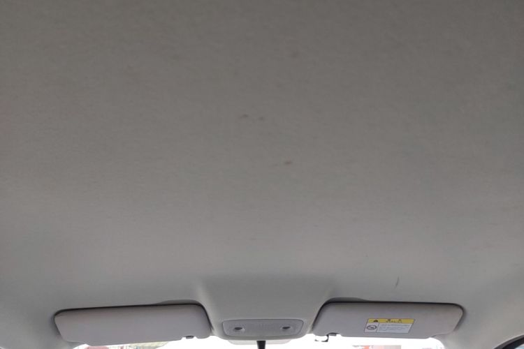 Used Leapmotor T03 2022 Pearl Edition Headliner