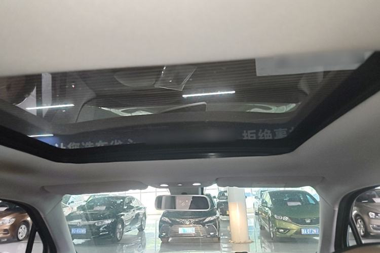 Used Leapmotor T03 2022 Star Diamond Edition Headliner