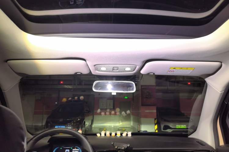 Used Leapmotor T03 2022 YAOJIN Edition Headliner