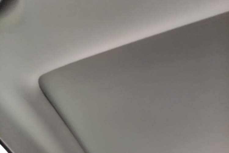Used Leapmotor T03 2022 Star Diamond Edition Headliner