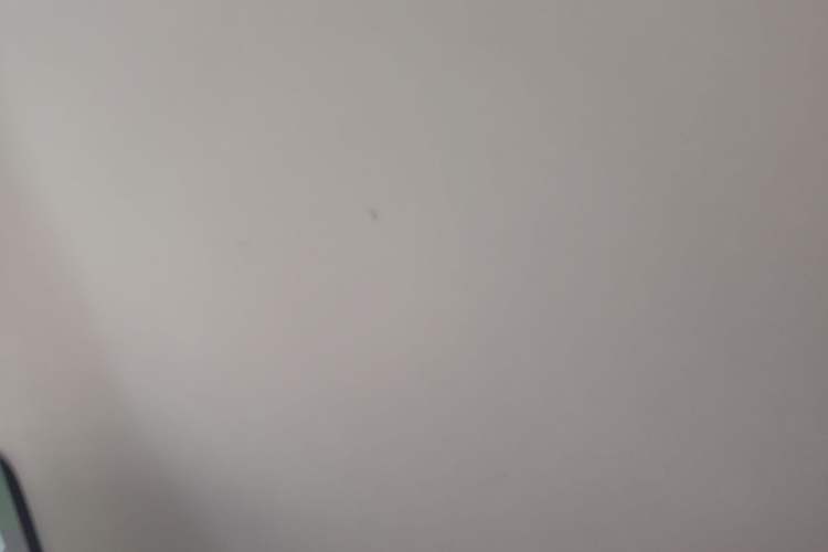 Used Leapmotor T03 2022 Pearl Edition Headliner