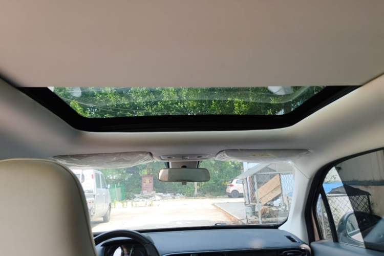 Used Leapmotor T03 2022 Star Diamond Edition Headliner