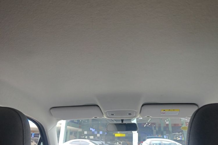 Used Leapmotor T03 2022 Pearl Edition Headliner