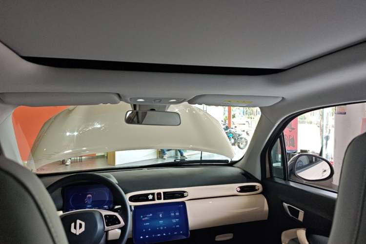 Used Leapmotor T03 2022 Star Diamond Edition Headliner