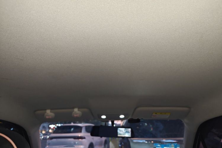 Used Leapmotor T03 2022 Special Edition Headliner