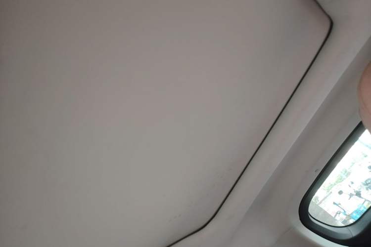 Used Leapmotor T03 2022 Star Diamond Edition Headliner