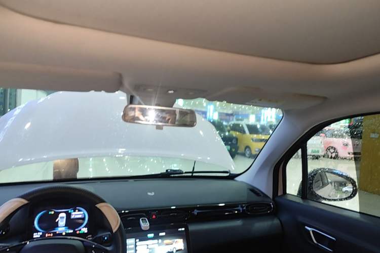 Used Leapmotor T03 2022 Star Diamond Edition Headliner