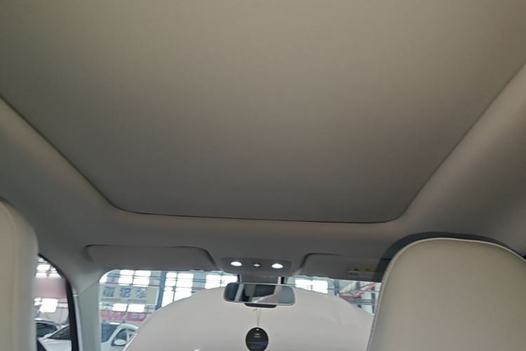 Used Leapmotor T03 2022 Star Diamond Edition Headliner