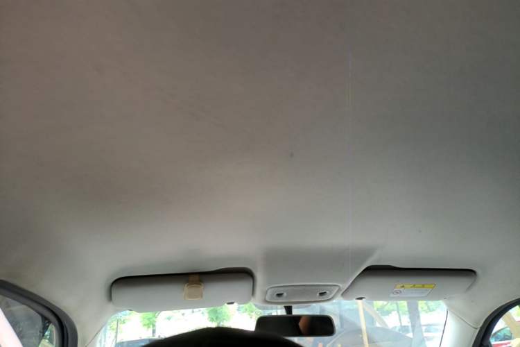 Used Leapmotor T03 2022 Hometown Jade Edition Headliner