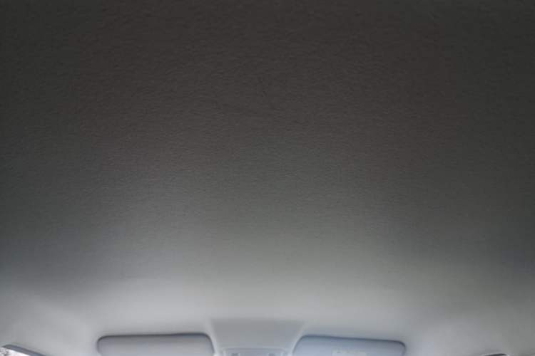Used Leapmotor T03 2022 Special Edition Headliner