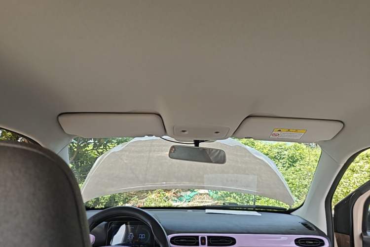 Used Leapmotor T03 2022 Amber Edition Headliner