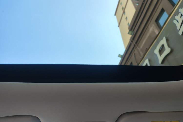 Used Leapmotor T03 2022 Star Diamond Edition Headliner