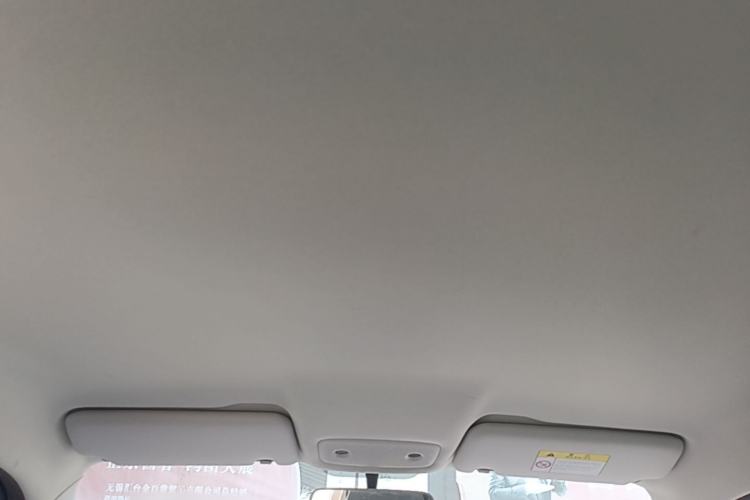 Used Leapmotor T03 2022 Hometown Jade Edition Headliner