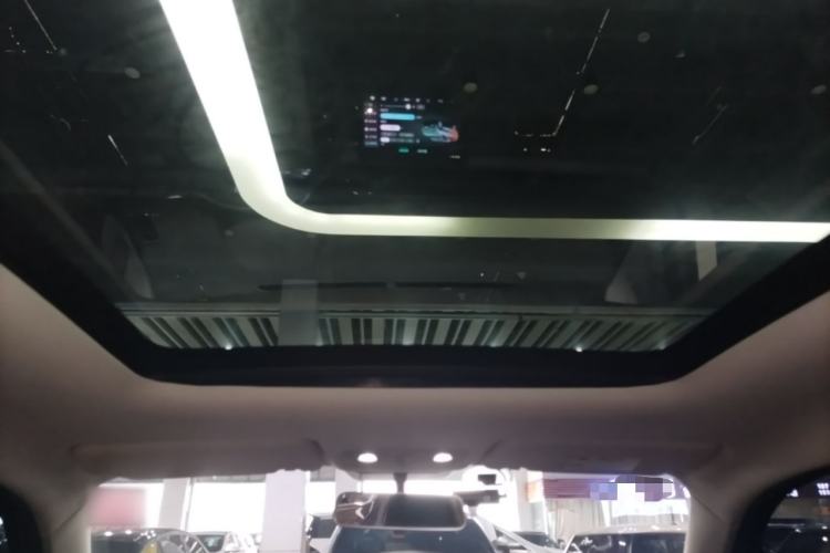 Used Leapmotor T03 2022 YAOJIN Edition Headliner