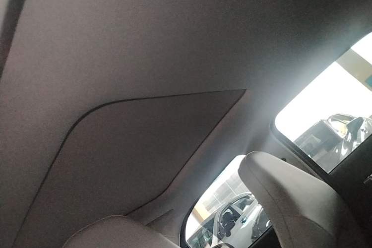 Used Leapmotor T03 2022 Star Diamond Edition Headliner
