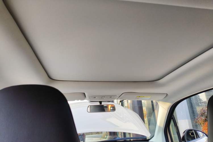 Used Leapmotor T03 2022 YAOJIN Edition Headliner