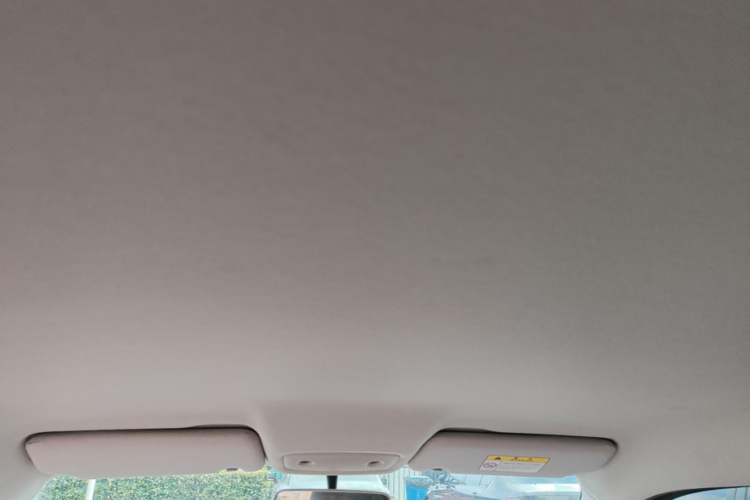 Used Leapmotor T03 2022 Special Edition Headliner