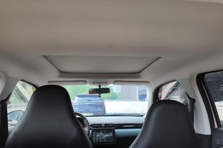 Used Leapmotor T03 2022 YAOJIN Edition Headliner