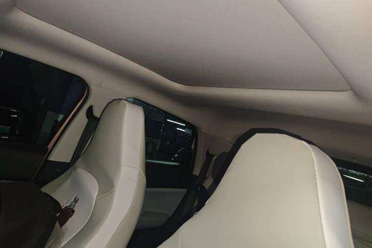 Used Leapmotor T03 2022 Star Diamond Edition Headliner