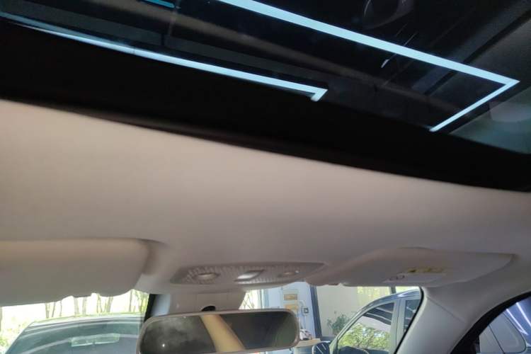 Used Leapmotor T03 2022 Star Diamond Edition Headliner