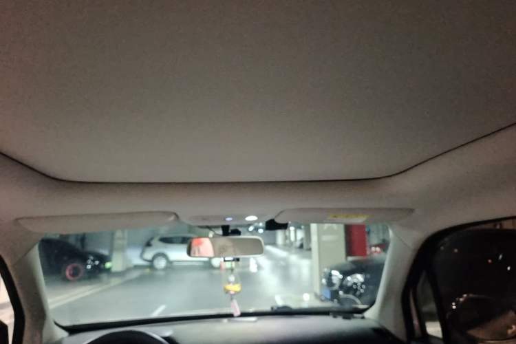 Used Leapmotor T03 2022 Crystal Edition Headliner