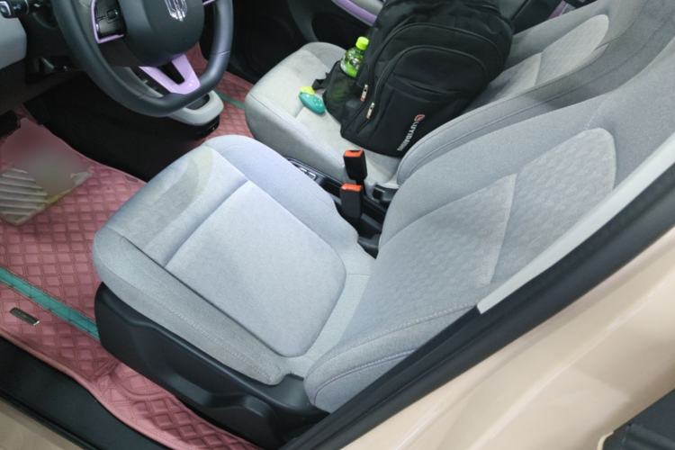 Used Leapmotor T03 2022 Amber Edition Left Front Seat