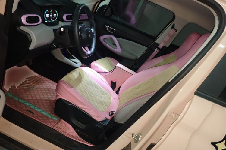 Used Leapmotor T03 2022 Pearl Edition Left Front Seat