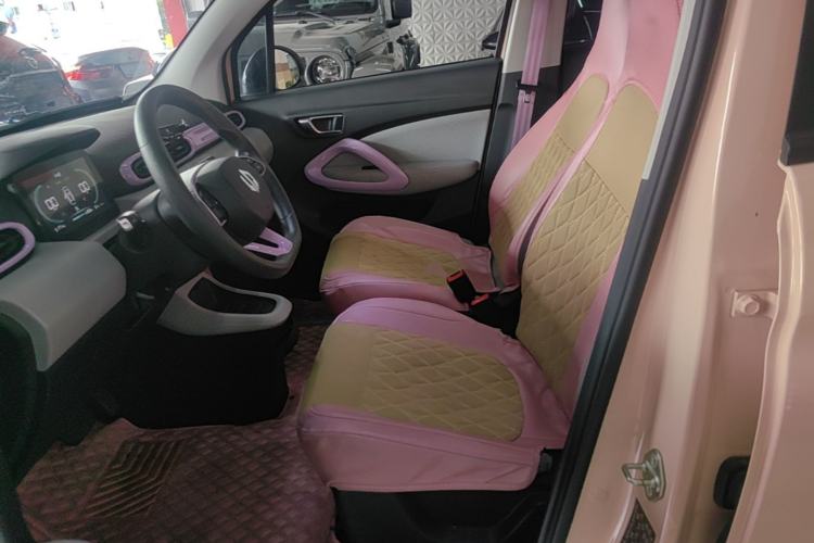 Used Leapmotor T03 2022 Pearl Edition Left Front Seat