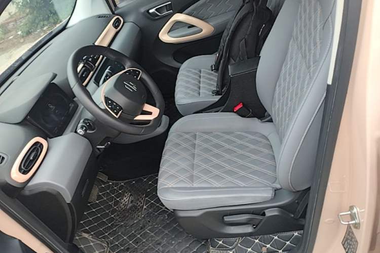 Used Leapmotor T03 2022 Star Diamond Edition Left Front Seat