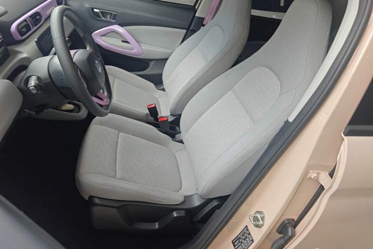 Used Leapmotor T03 2022 Pearl Edition Left Front Seat