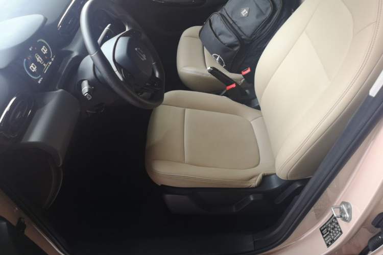 Used Leapmotor T03 2022 Special Edition Left Front Seat