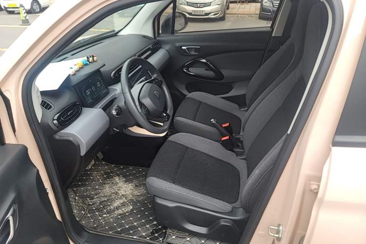 Used Leapmotor T03 2022 Special Edition Left Front Seat