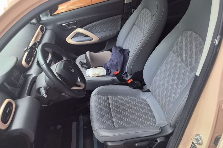 Used Leapmotor T03 2022 Star Diamond Edition Left Front Seat