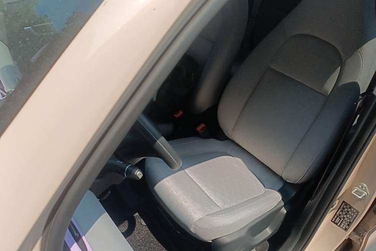 Used Leapmotor T03 2022 Hometown Jade Edition Left Front Seat